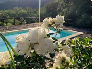Casale in in vendita da privato a castiglione della pescaia via del poggio