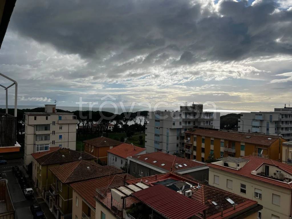 immagine annuncio 9 di 14