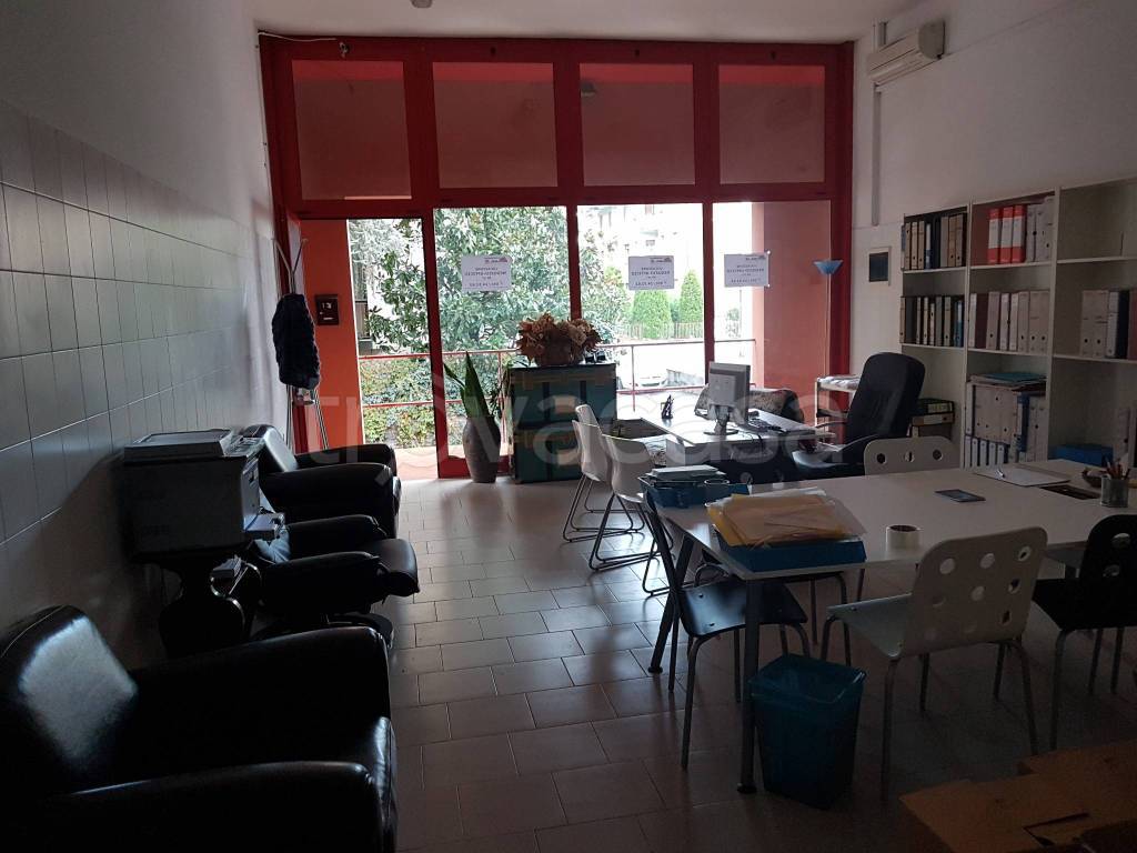 immagine annuncio 4 di 12