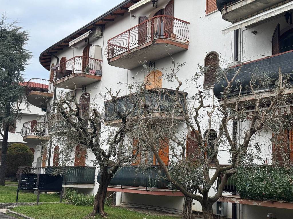 immagine annuncio 14 di 15