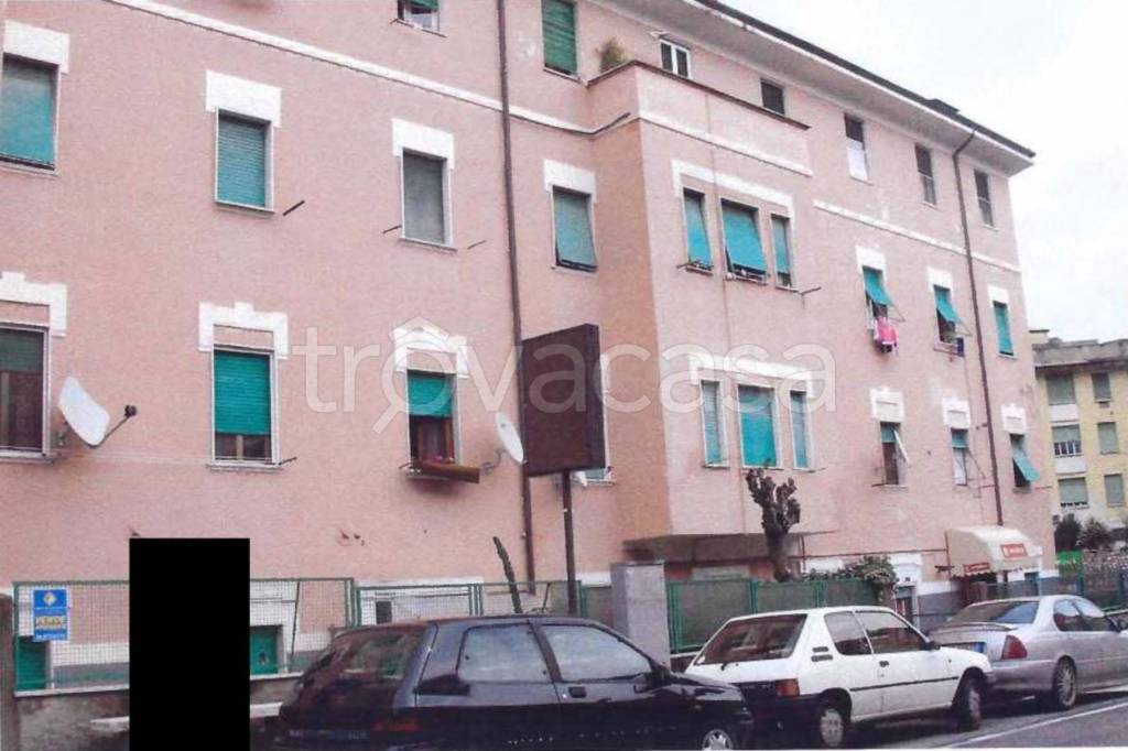 immagine annuncio 5 di 13