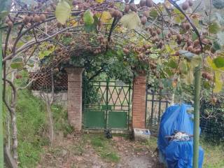 Terreno agricolo in vendita a carrara via di gragnana, 1