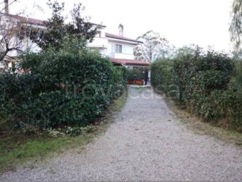 immagine annuncio 11 di 14
