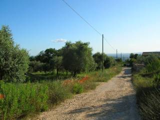 Terreno residenziale in vendita a calvi dell'umbria sp18
