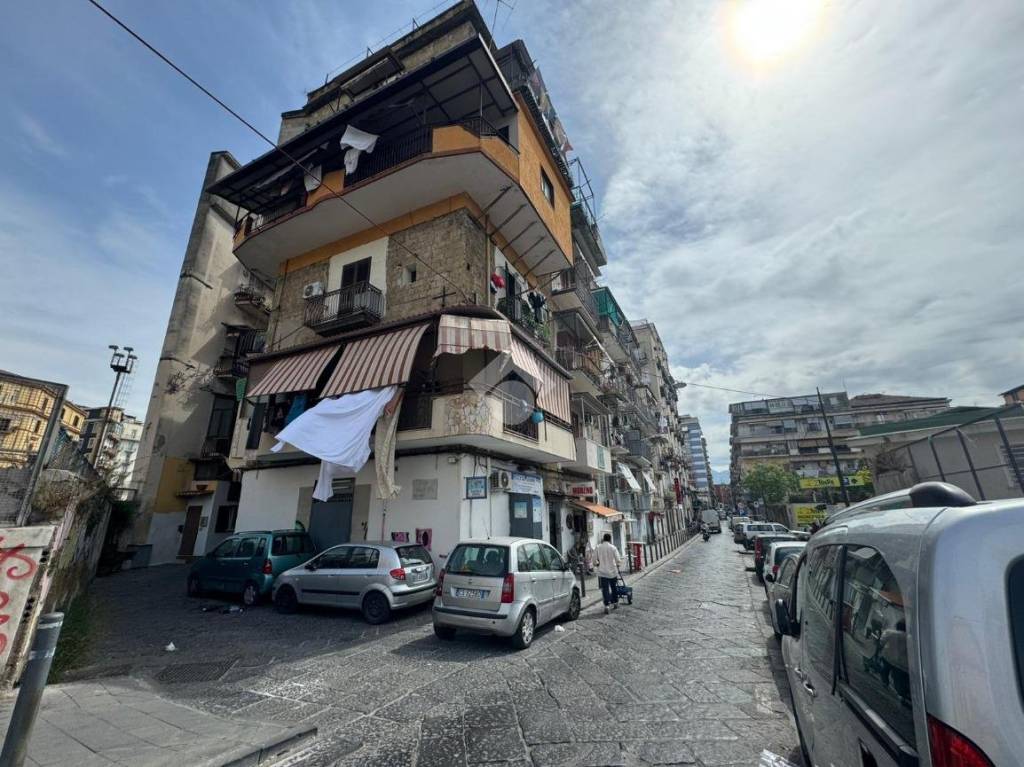 immagine annuncio 3 di 11