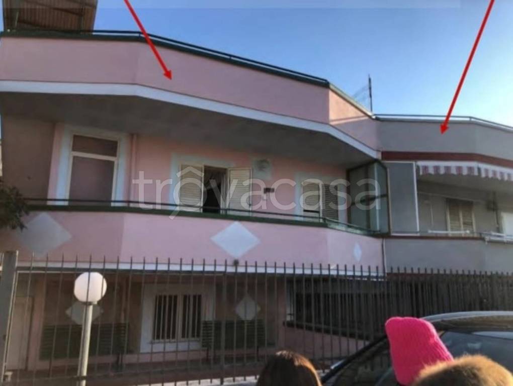 immagine annuncio 9 di 14