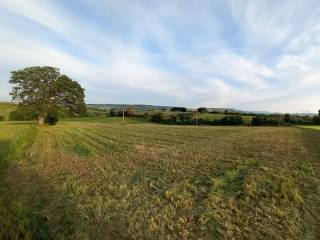 Terreno agricolo in vendita a termoli contrada demanio e spugne