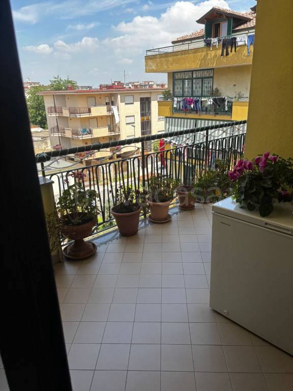 immagine annuncio 2 di 12