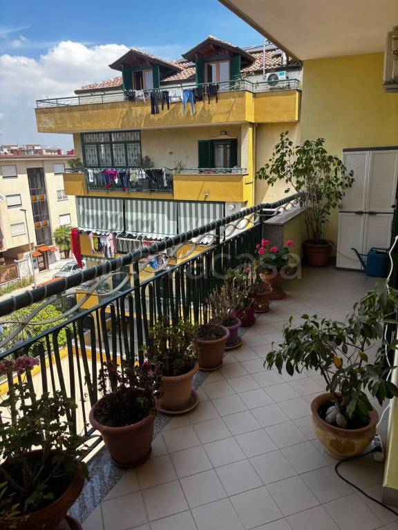 immagine annuncio 3 di 12