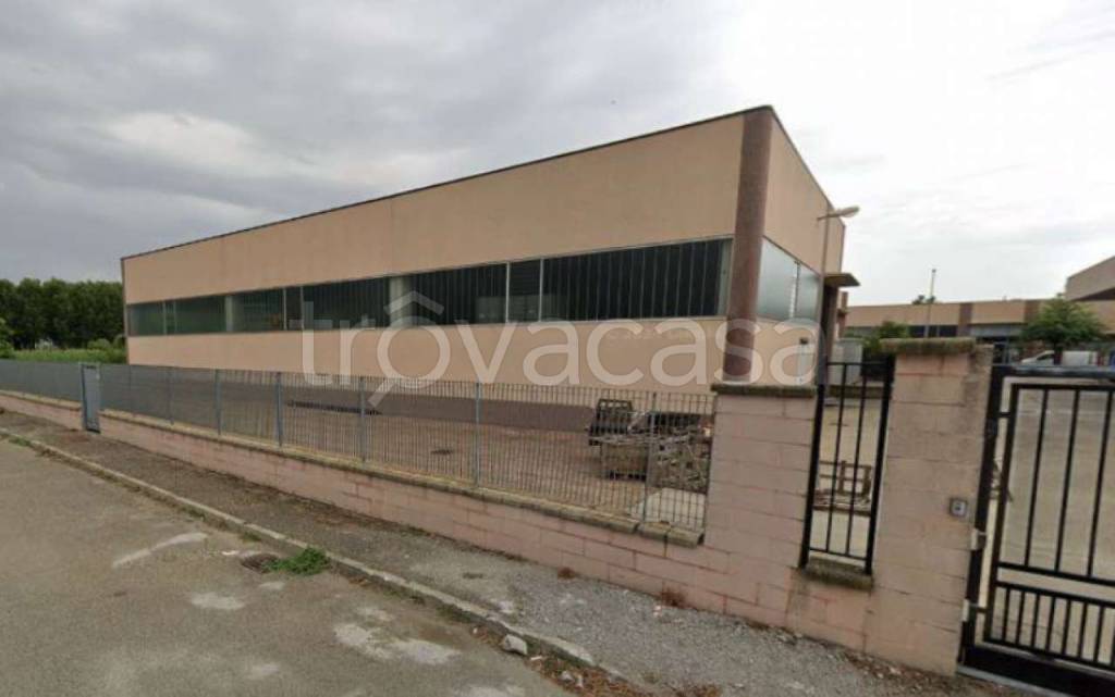 immagine annuncio 1 di 4