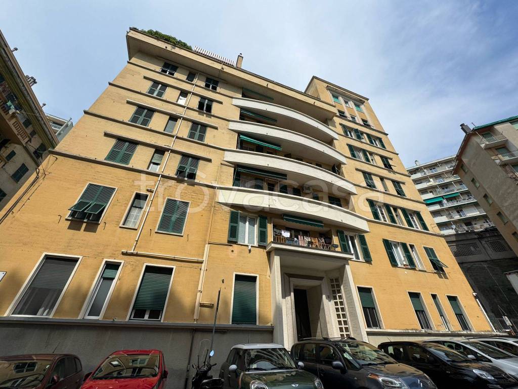 appartamento in affitto a Genova in zona Sampierdarena