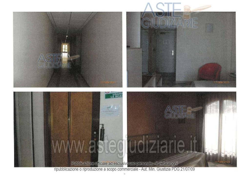 immagine annuncio 1 di 14