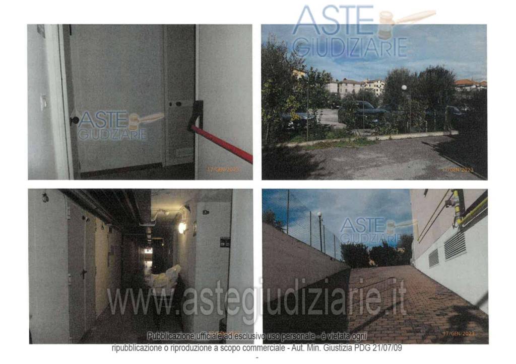 immagine annuncio 9 di 14