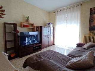 Appartamento in affitto ad alpignano 