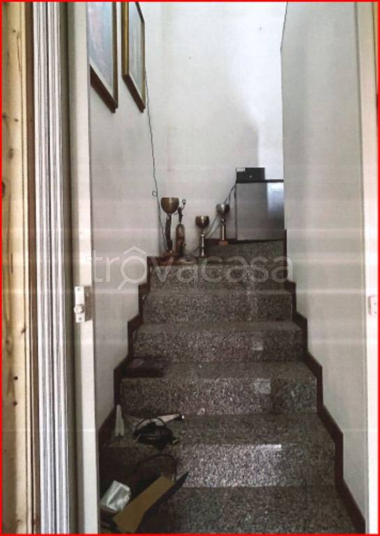immagine annuncio 7 di 14