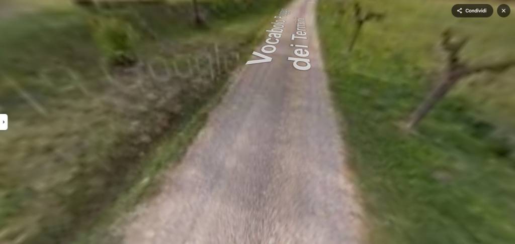 immagine annuncio 3 di 12