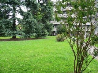 Appartamento in affitto a bergamo via celadina, 6