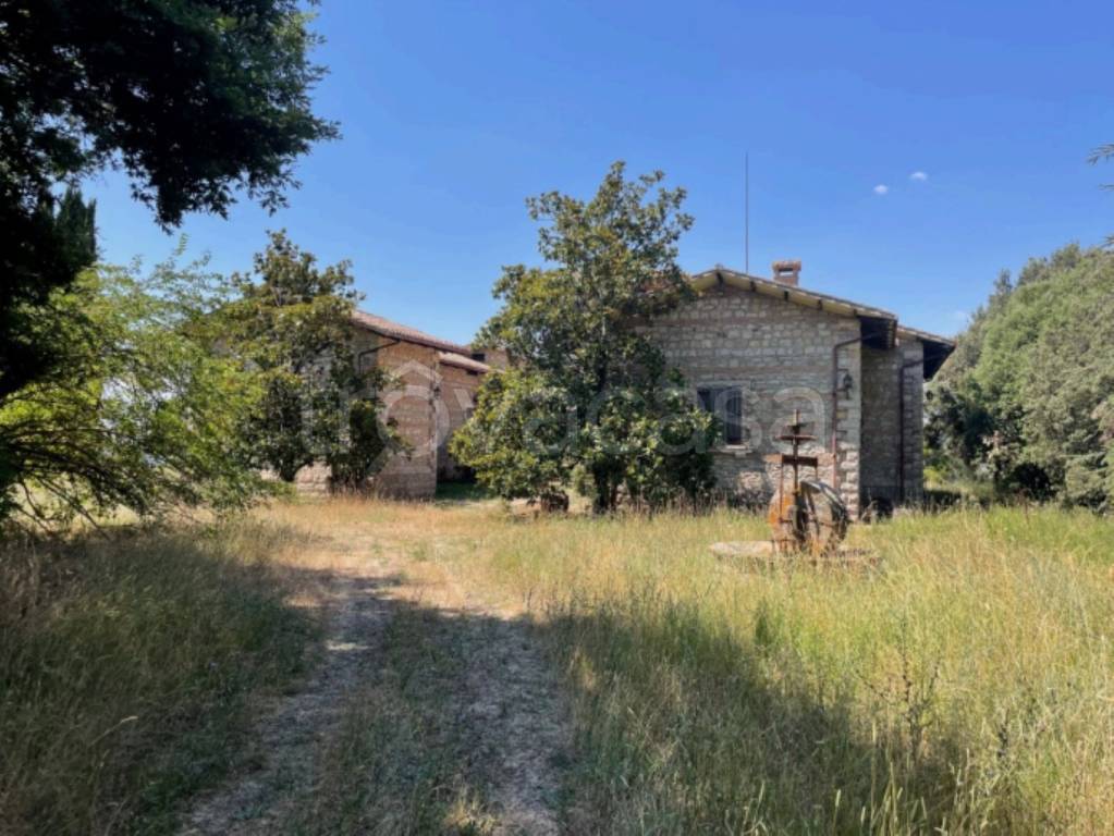 immagine annuncio 2 di 11