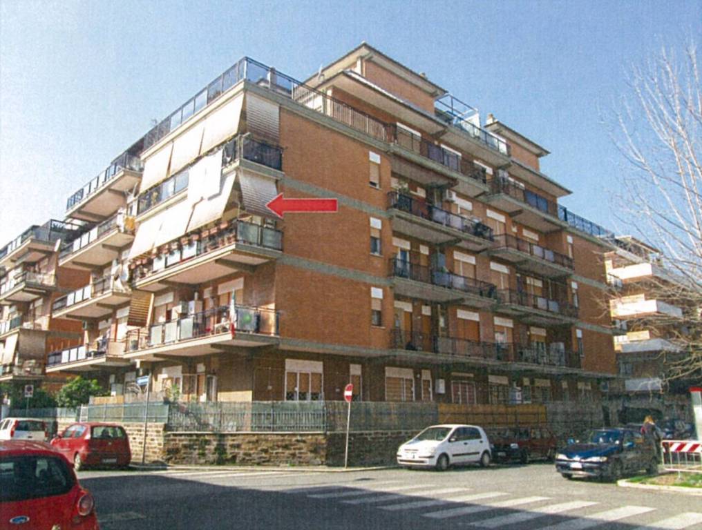 immagine annuncio 3 di 12