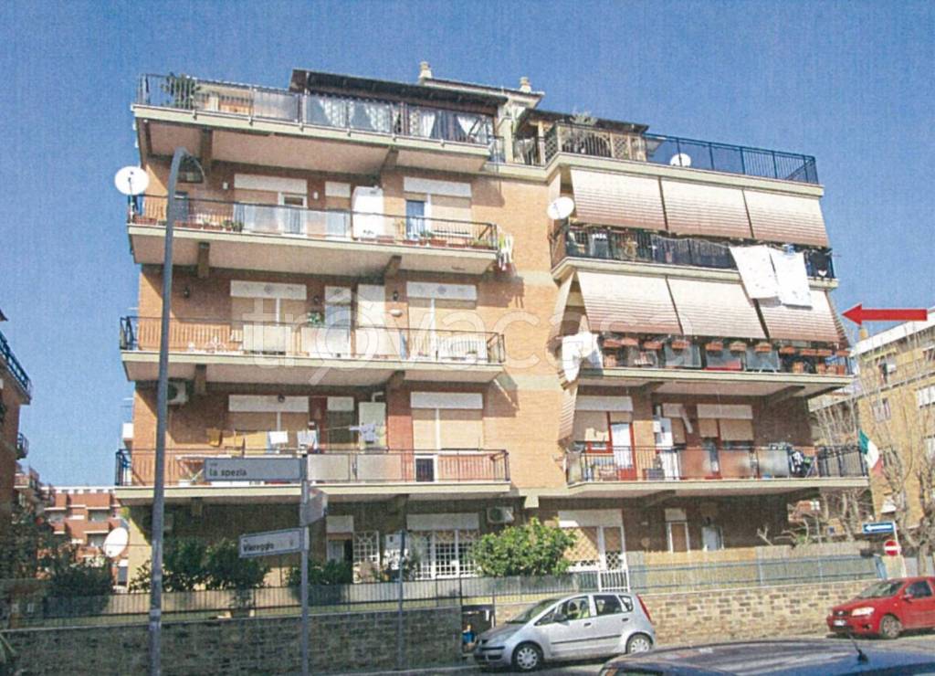 immagine annuncio 5 di 12