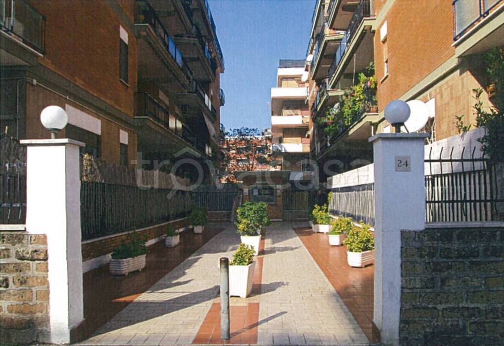 immagine annuncio 7 di 12