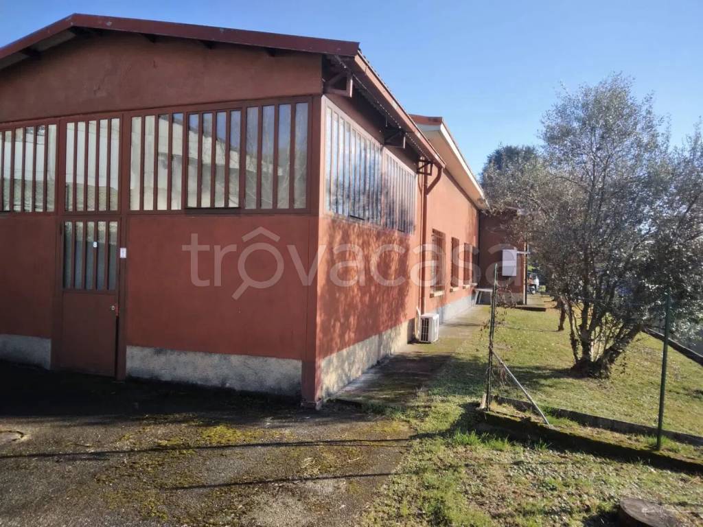 immagine annuncio 4 di 7