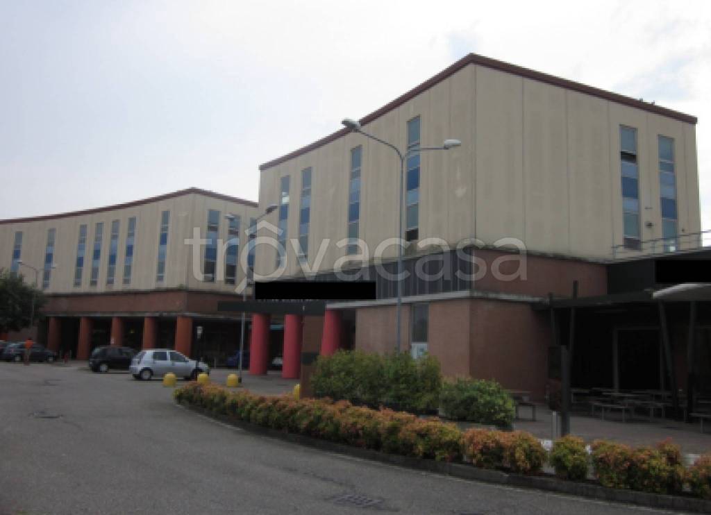 immagine annuncio 11 di 12