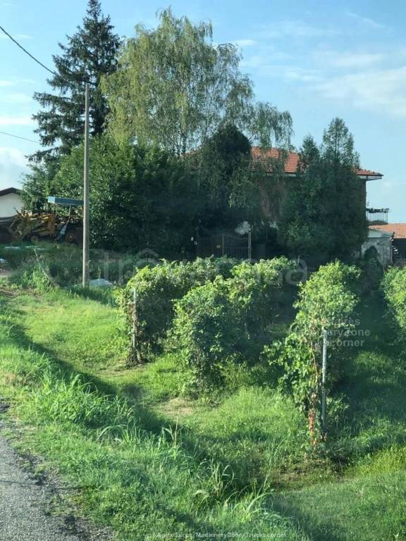immagine annuncio 7 di 9