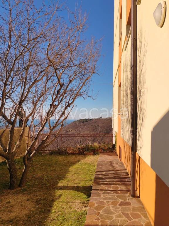 immagine annuncio 10 di 14