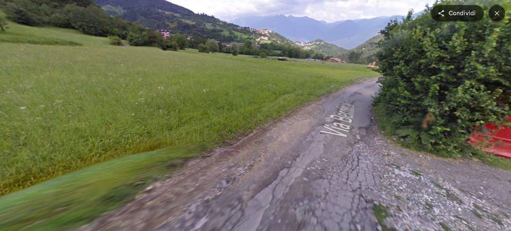 immagine annuncio 12 di 14