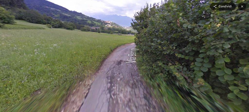 immagine annuncio 13 di 14