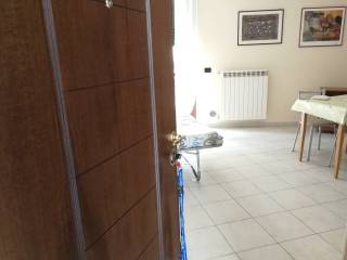 Appartamento in affitto a novara viale dante alighieri