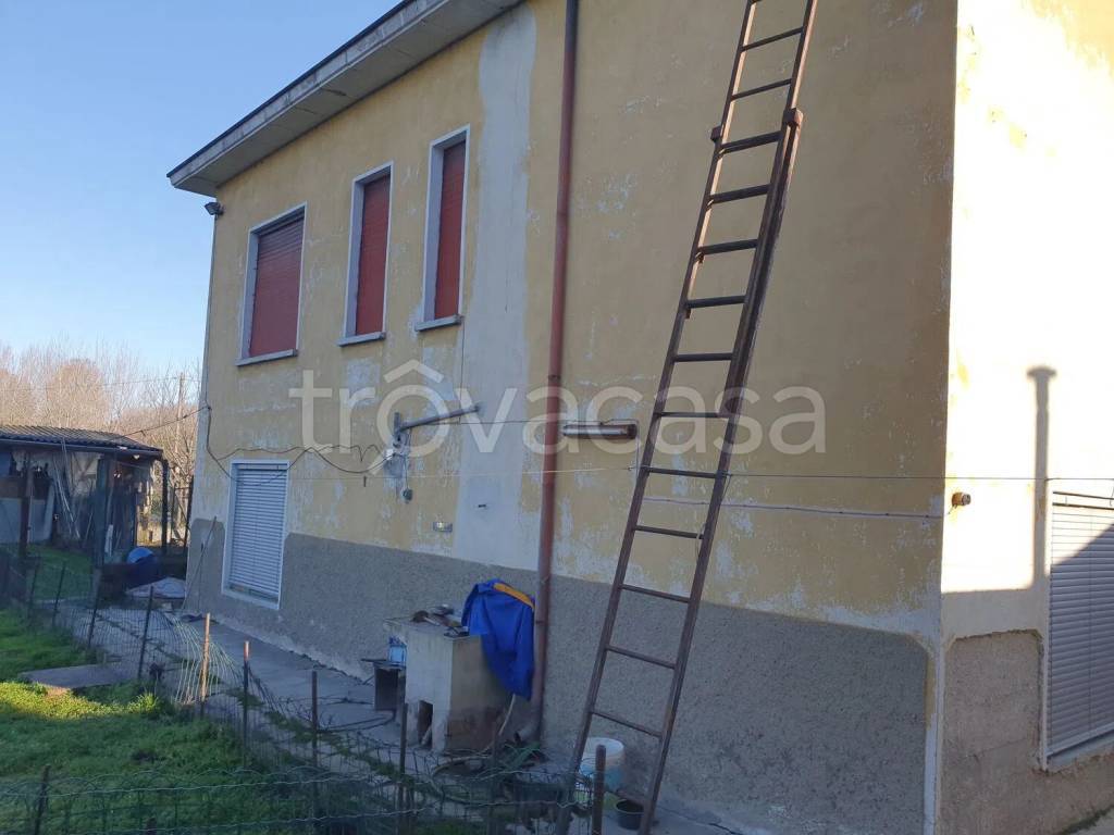 immagine annuncio 11 di 13