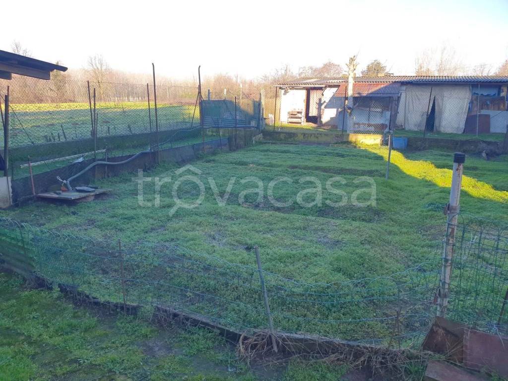 immagine annuncio 12 di 13