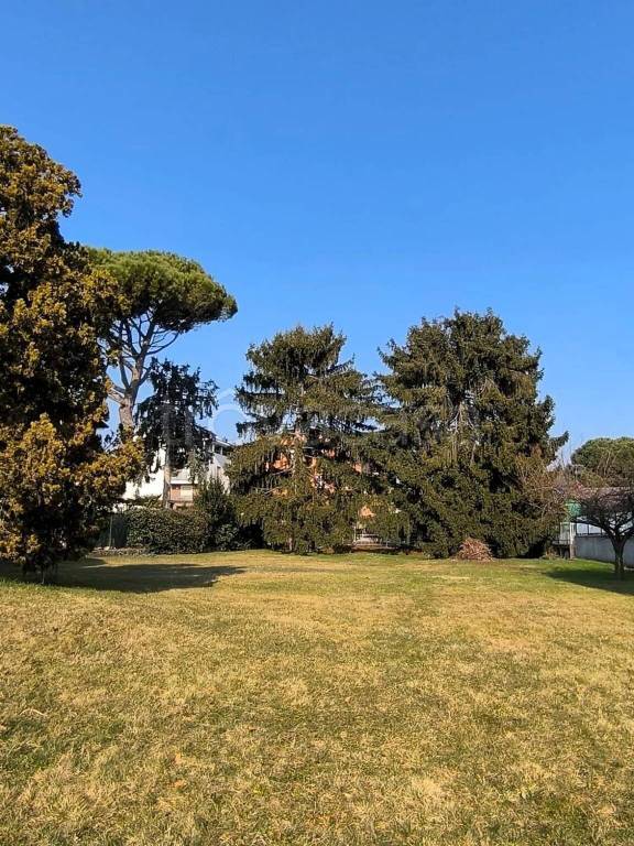 immagine annuncio 1 di 6