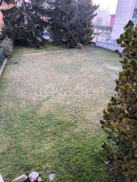 immagine annuncio 4 di 6