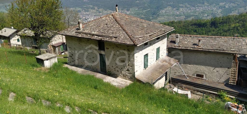 immagine annuncio 1 di 7