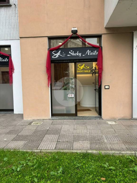 immagine annuncio 6 di 13