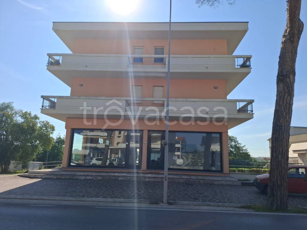 immagine annuncio 10 di 13