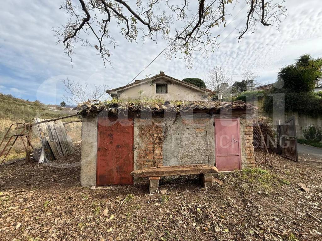 immagine annuncio 1 di 9