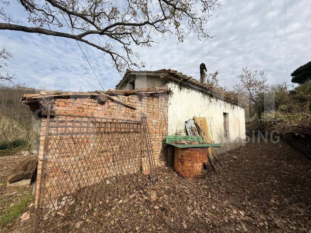 immagine annuncio 7 di 9