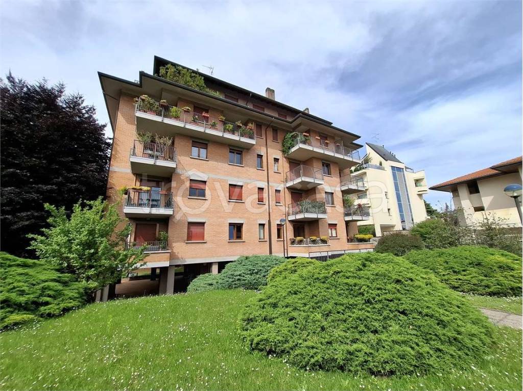 immagine annuncio 9 di 15