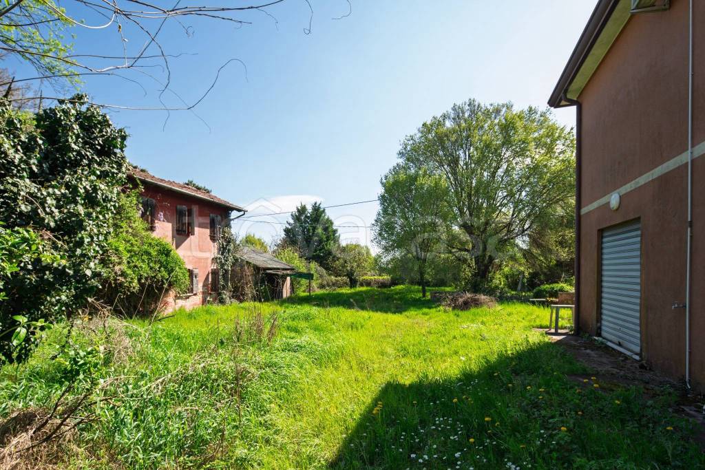 immagine annuncio 6 di 11