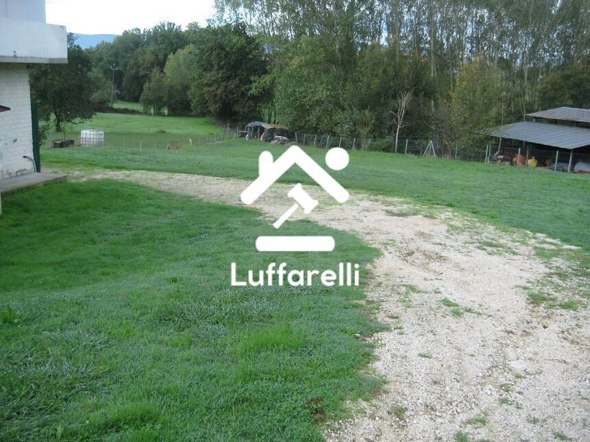 immagine annuncio 2 di 6