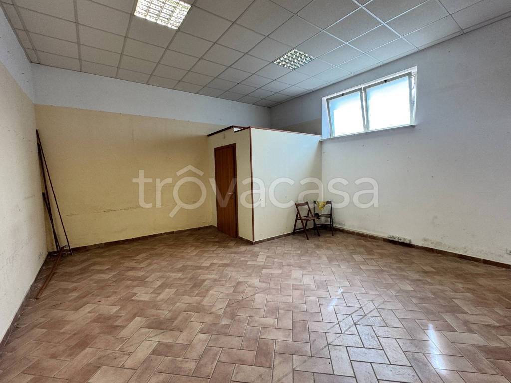 immagine annuncio 5 di 8