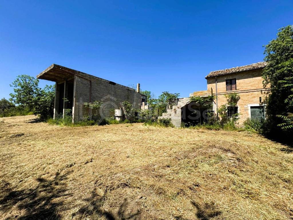 immagine annuncio 10 di 12