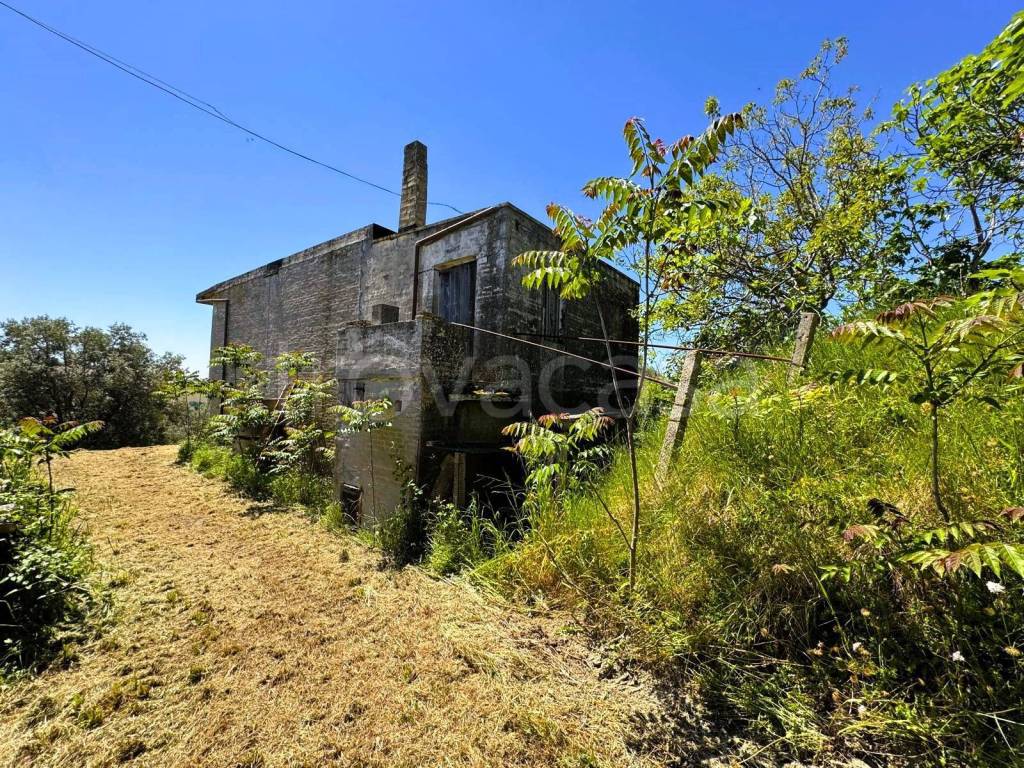 immagine annuncio 8 di 12