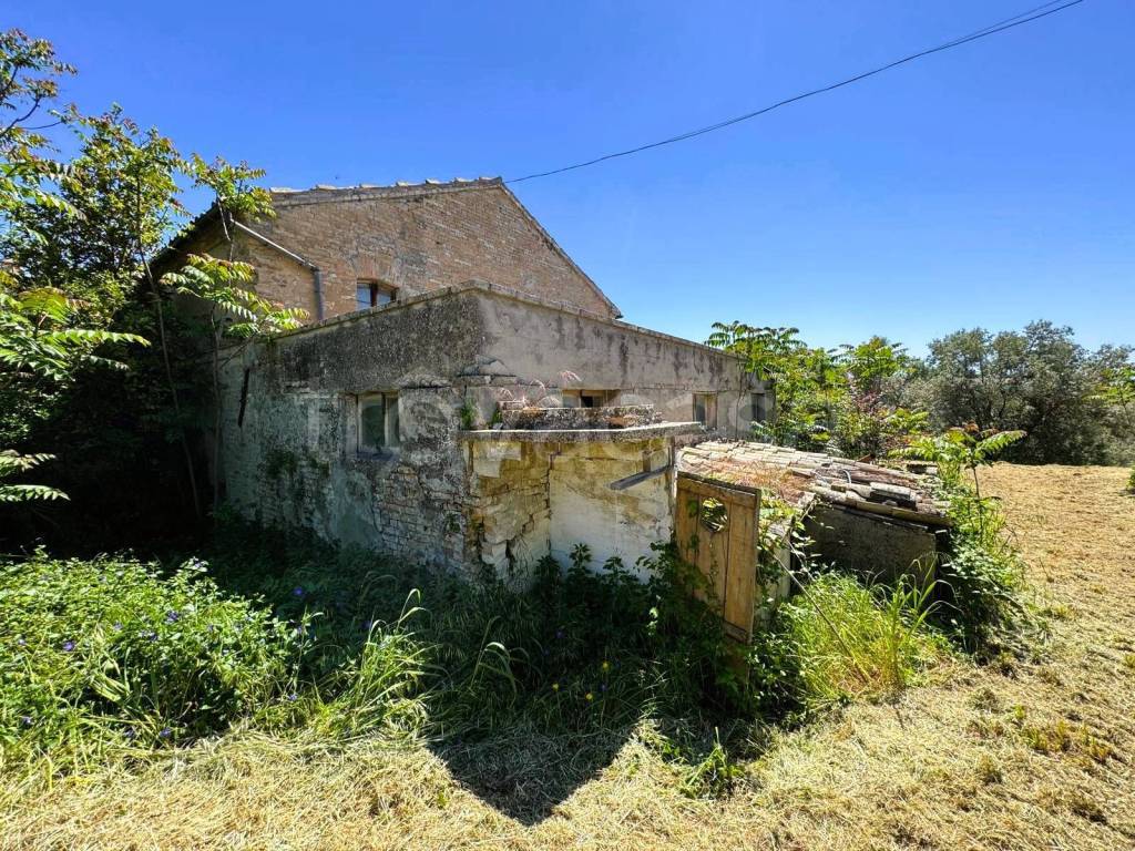 immagine annuncio 7 di 12