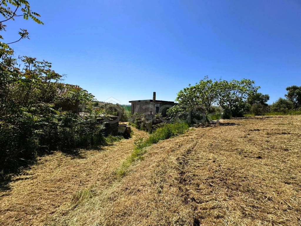 immagine annuncio 6 di 12