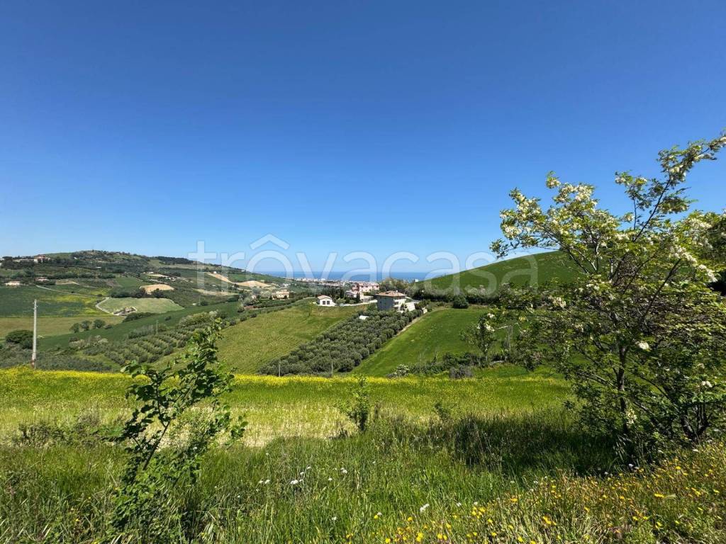 immagine annuncio 5 di 12